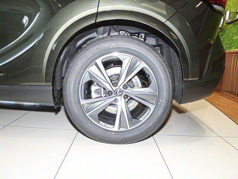 2025�� 300 ����������