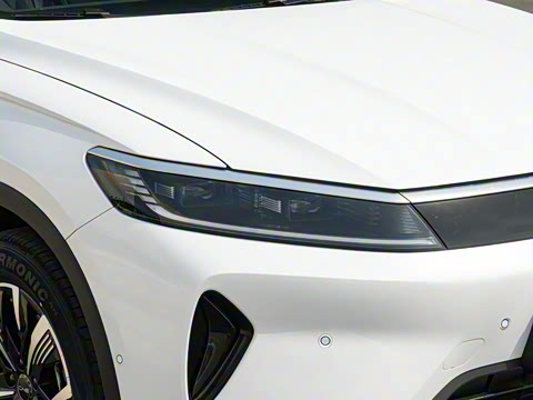 2025�� DM-i �Ǽݰ� 75KM������