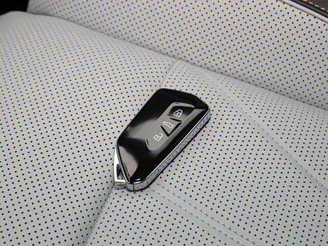 2025�� ;�� Pro 450TSI �����ݺ��