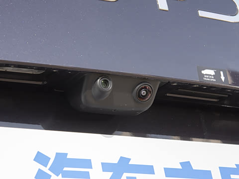 2025�� DM-i 1.5T 100km ��Խ��