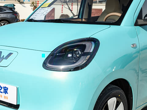 2025�� ���Ű� ���׿�