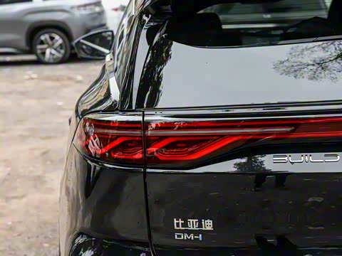 2025�� �Ǽݰ� DM-i 115KM �����