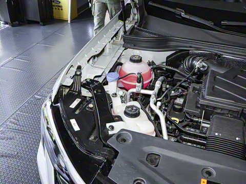 2025�� ������