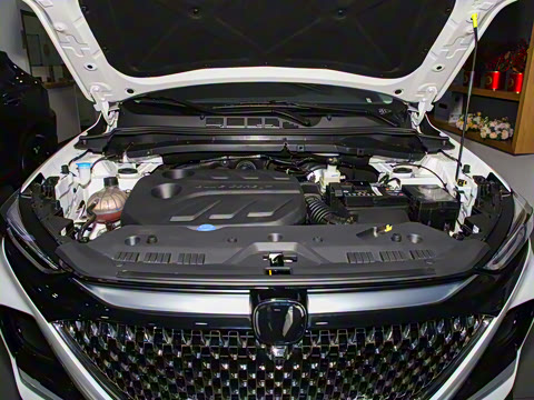 2024�� 1.5T �Զ������� 5��