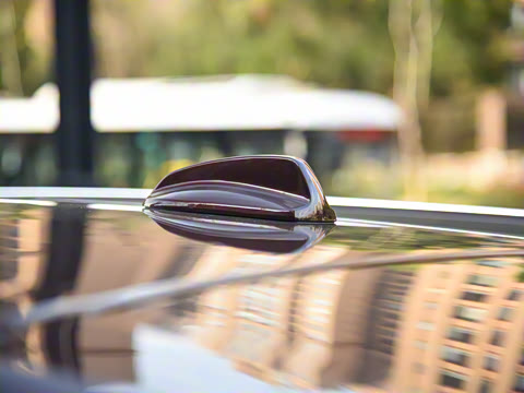 2025�� �Ŀ� T8 ��������� 7��