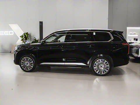 2025�� 180 ��������Max���� 7��