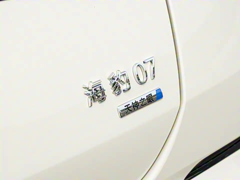 2025�� �Ǽݰ� DM-i 1.5L 125km �����