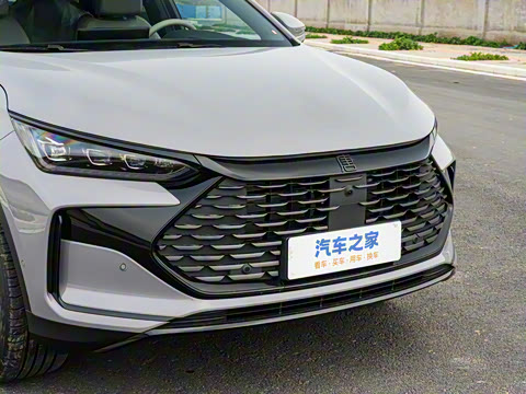 2025�� �Ǽݰ� DM-i 115KM �콢��