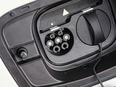 2025�� 520 ��ѡ��