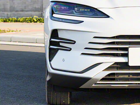 2025�� DM-i �Ǽݰ� 112KM �����