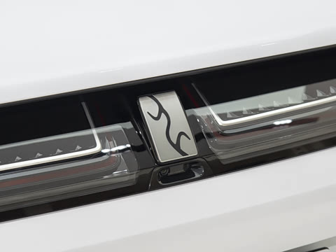 2025�� EV ����������