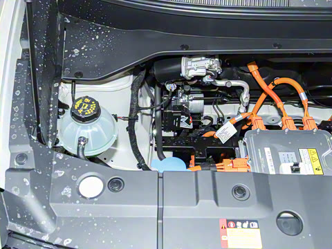 2025�� �콢�� 5��