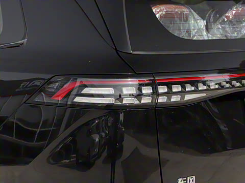 2025�� 210Max���Ȱ� 6��