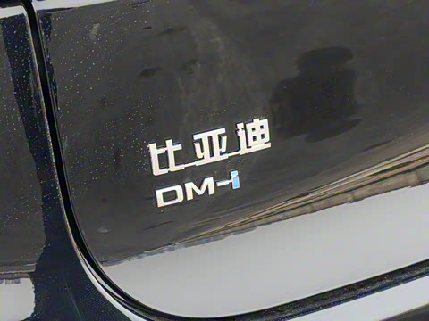 2025�� �Ǽݰ� DM-i 115KM ������