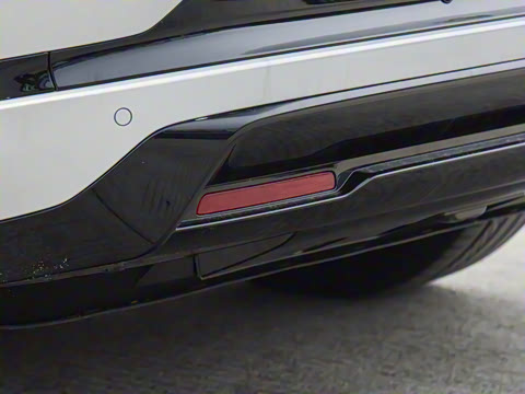 2025�� ����������Max