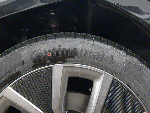 2025�� ����������Max