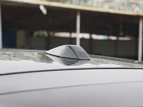 2025�� ����������Max