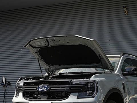 2025�� ɳ���ر�� ����