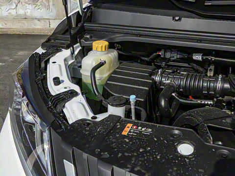 2025�� 1.6L �ֶ���������� 7��