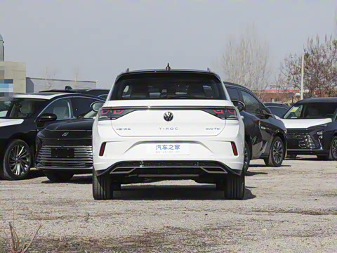 2025�� 300TSI DSG���������