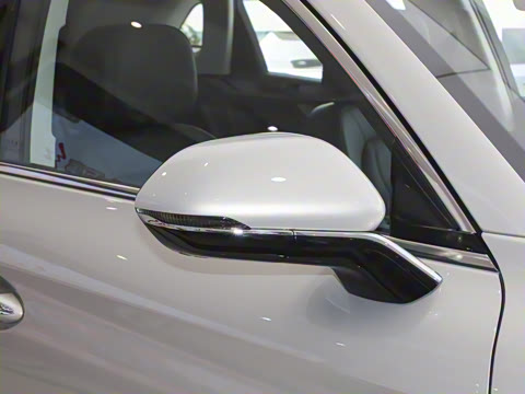 2025�� 2.0T ��������Pro��