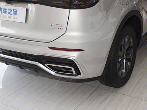 2025�� 2.0T ��������Pro��