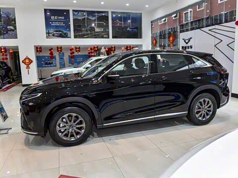 2025�� 1.5T ɽ��� 5��