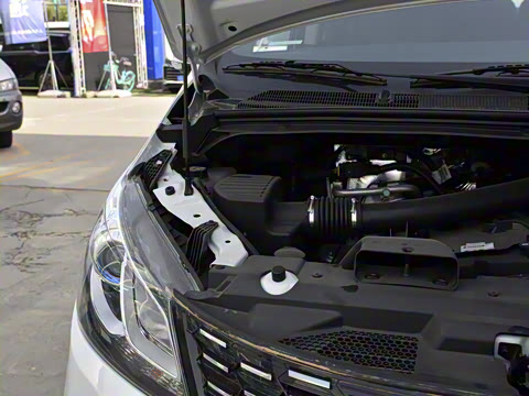 2025�� 2.0L �ֶ���ֵ�� ���� 7��