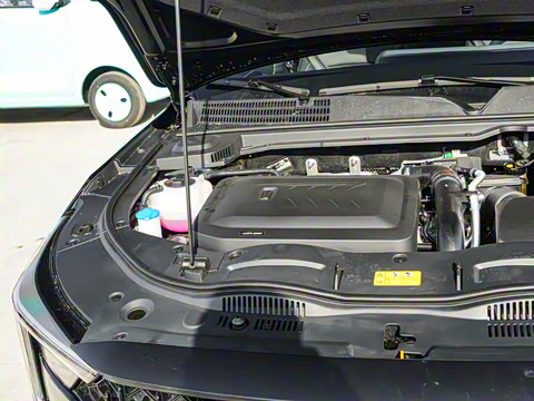 2025�� ��ҫ�� 1.5T ����ʿ