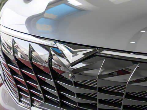 2025�� 1.5T ��ԭ�� 5��