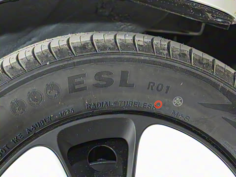 2025�� 301km �ȱ���