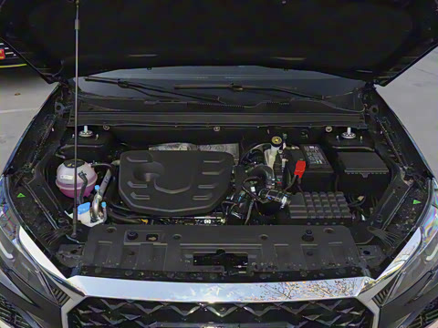 2025�� 1.5T DCT��ԽPRO 7��