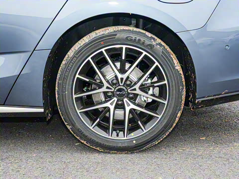 2025�� �Ǽݰ� DM-i 1.5L 125km �����