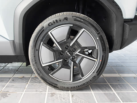 2025�� 501KM ����Max��