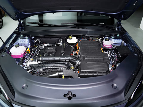 2025�� DM-i �Ǽݰ� 55KM�����