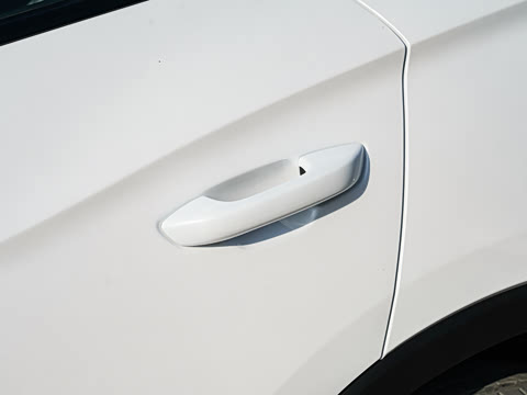 2025�� �ڶ��� �Ǽݰ� DM-i 115KM��Խ��