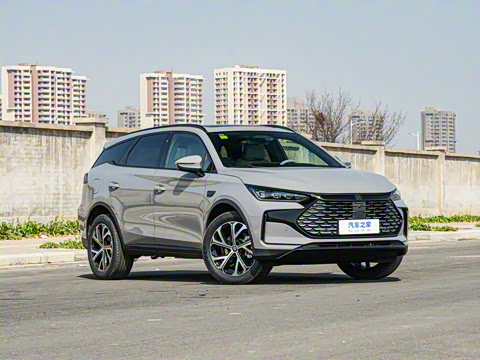 2025�� �Ǽݰ� DM-i 115KM ������