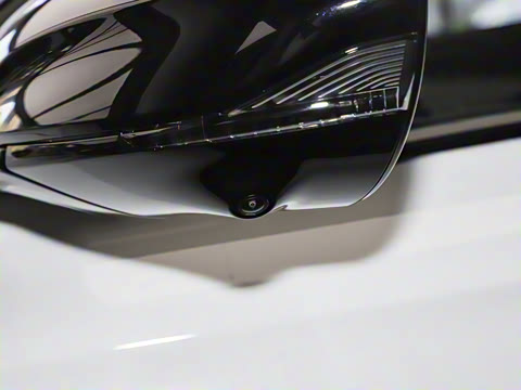 2025�� 425plus ������