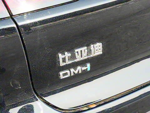 2025�� DM-i �Ǽݰ� 125KM������