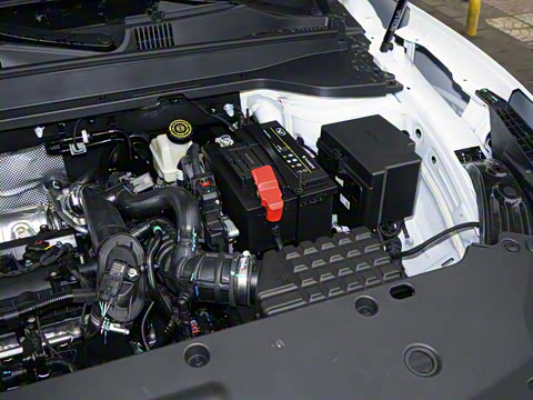 2025�� 1.5T ɽ�������� 7��