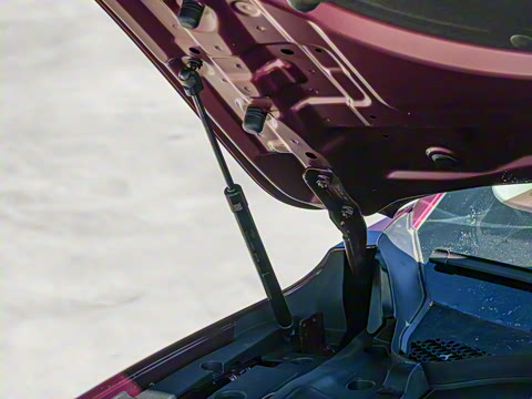 2025�� 260����������