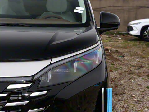 2025�� DM-i 1.5T 100km ������