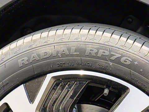 2025�� DM-i �Ǽݰ� 115KM�콢��