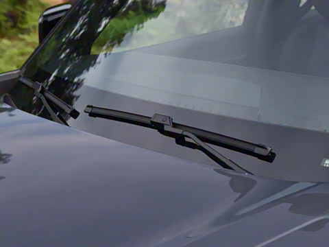 2024�� ����������