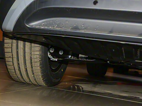 2025�� ������PURE+��