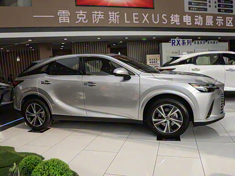 2025�� 300 ����������