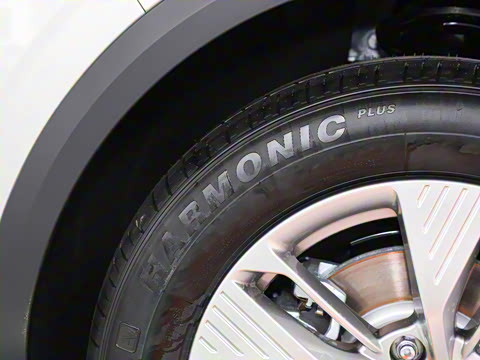 2025�� 445km ���ð�