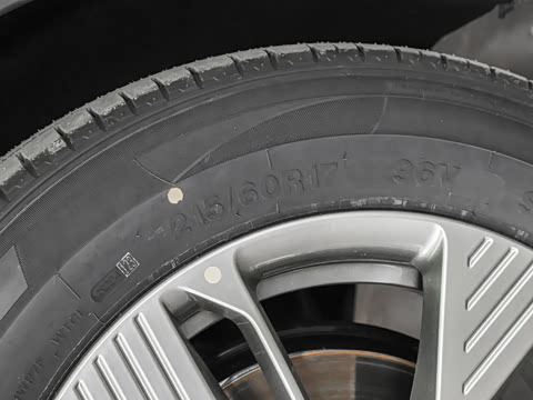 2025�� 445km ���ð�