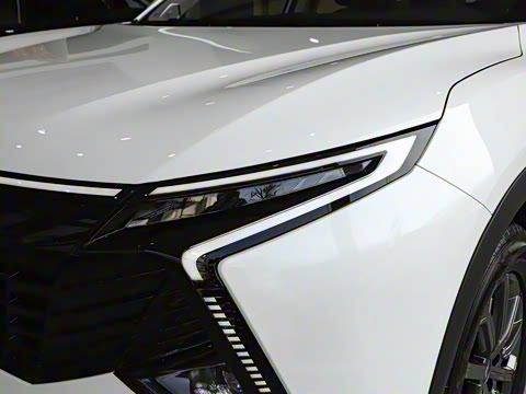 2025�� 1.5T ��ԭ�� 7��