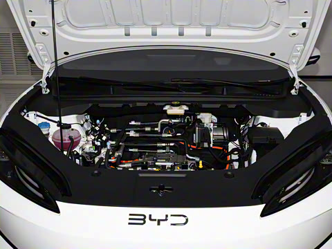 2025�� 520���а�